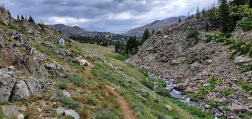 A winding trail through a rocky landscape, with a stream and trees under a cloudy sky in a mountainous area.