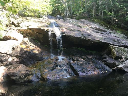 A small waterfall cascades over rocky terrain into a serene pool, surrounded by lush green forest.