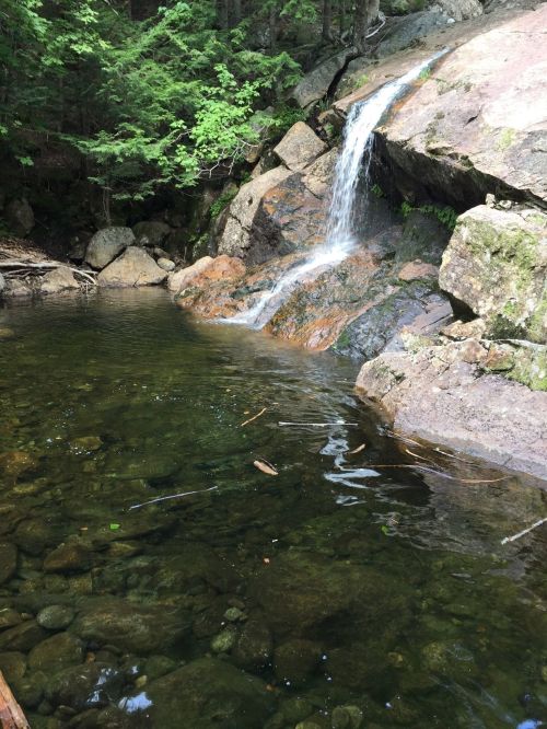 A serene waterfall cascades over rocks into a clear pool, surrounded by lush green trees.