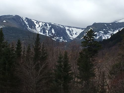 Snow-capped mountains rise above a forest of evergreen trees under a cloudy sky.