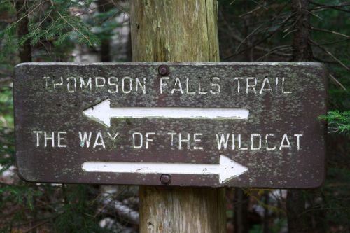 Wooden trail sign indicating directions for Thompson Falls Trail and The Way of the Wildcat, surrounded by trees.