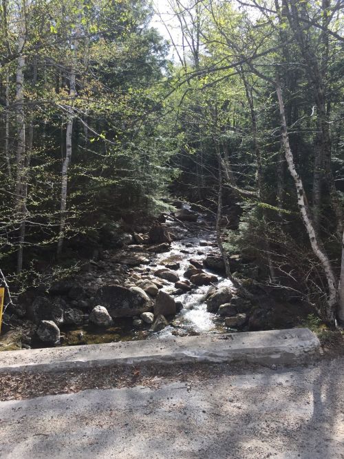 A serene stream flows through a forest, surrounded by rocks and trees, with sunlight filtering through the leaves.