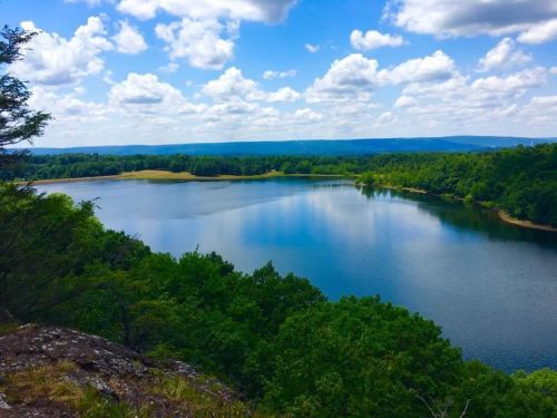 A serene lake surrounded by lush greenery and rolling hills under a bright blue sky with fluffy clouds.
