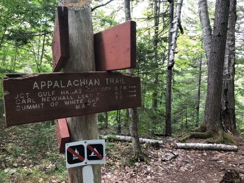 Signpost for the Appalachian Trail, indicating directions to Gulf Hagas, Carl Newhall Lean-to, and Summit of White Cap.