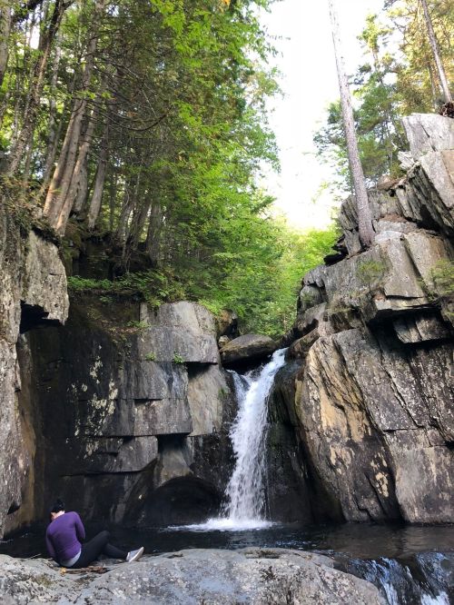 A person sits on a rock by a waterfall surrounded by tall trees and rugged stone formations.