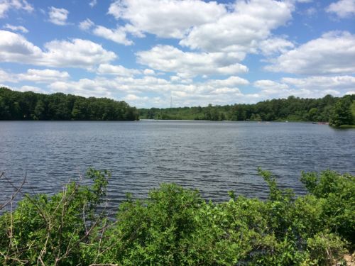A serene lake surrounded by lush greenery and dotted with fluffy clouds in a blue sky.