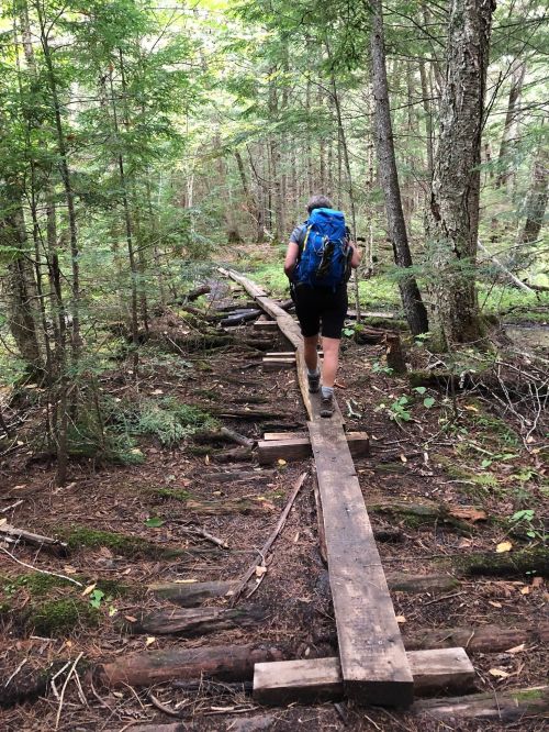 A hiker with a blue backpack walks along a wooden path through a lush green forest.