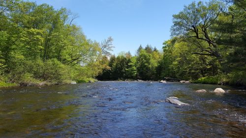 A serene river flows through a lush green landscape, surrounded by trees under a clear blue sky.