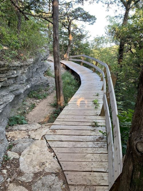 A winding wooden boardwalk through lush greenery and rocky terrain, surrounded by trees.