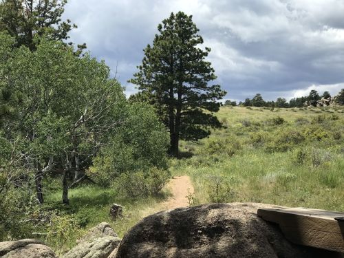 A scenic view of a grassy path leading through trees, with rocky terrain and a cloudy sky in the background.