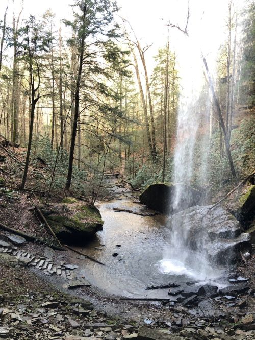A serene waterfall cascades into a rocky pool, surrounded by lush green trees in a tranquil forest setting.