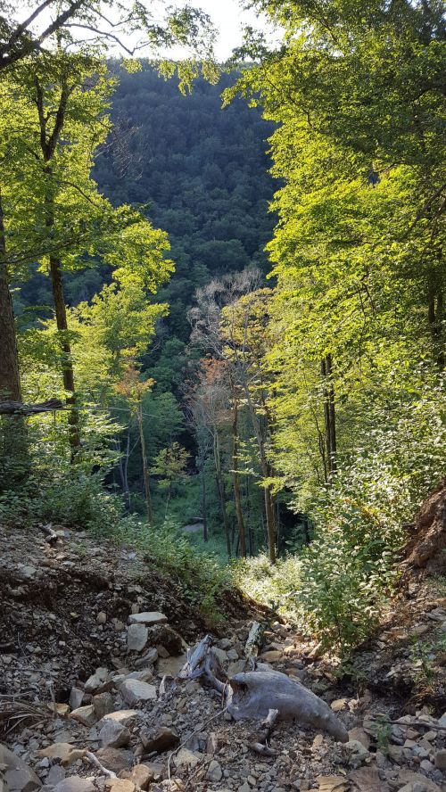 A scenic view of a lush forested valley with rocky terrain in the foreground and steep green hills in the background.