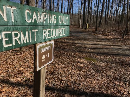 A wooden sign indicating "Campsite #4" along a forest trail with fallen leaves and trees in the background.