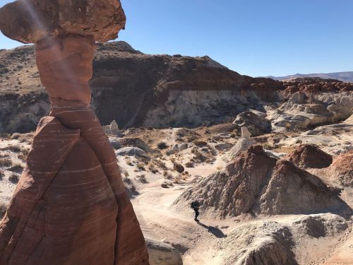 A person walks through a rocky landscape featuring unique rock formations under a clear blue sky.