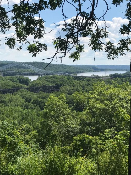 A scenic view of a river surrounded by lush green trees and a bridge in the distance under a blue sky with clouds.