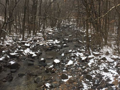 A snowy creek flows through a forest, with rocks and bare trees lining the banks.