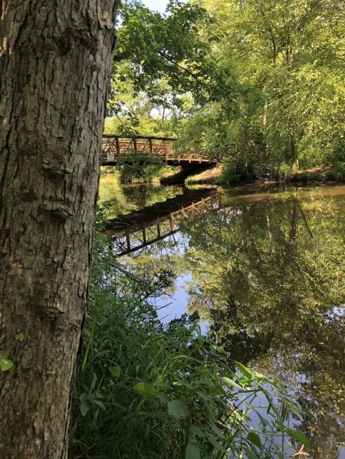 A serene river scene with a wooden bridge, surrounded by lush greenery and reflections in the calm water.