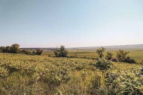 A scenic view of rolling green fields and distant hills under a clear blue sky.