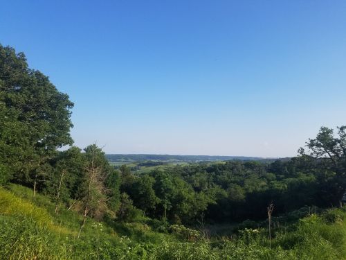 A scenic view of rolling green hills and trees under a clear blue sky.