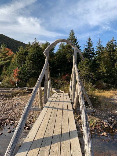 A wooden bridge arches over a serene landscape, surrounded by trees and a clear blue sky.