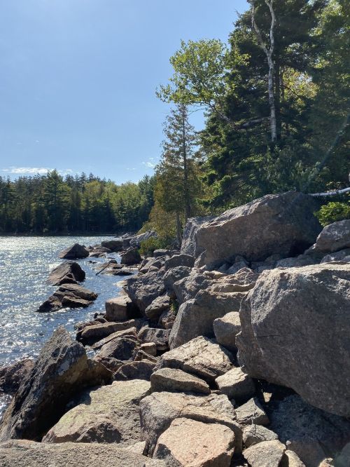 Rocky shoreline with trees and calm water under a clear blue sky.