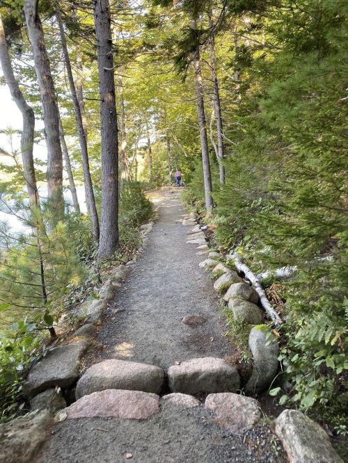 A winding path through a lush forest, lined with stones, leading towards a serene lake in the distance.