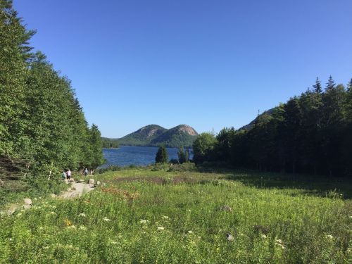 A scenic view of a lake surrounded by green trees and mountains under a clear blue sky, with people walking along a path.