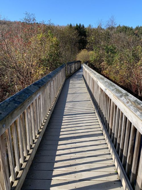 A wooden boardwalk stretches through a natural landscape, surrounded by trees and blue sky.