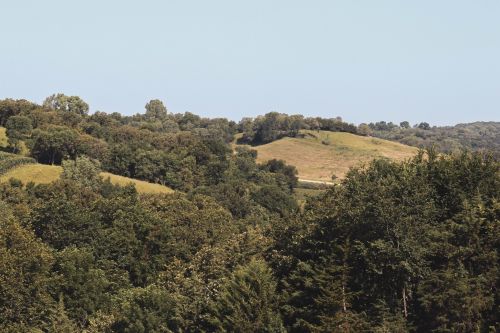 Lush green hills and trees under a clear blue sky, showcasing a serene rural landscape.