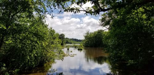A serene river scene framed by lush green trees under a partly cloudy sky. Reflections shimmer on the water's surface.
