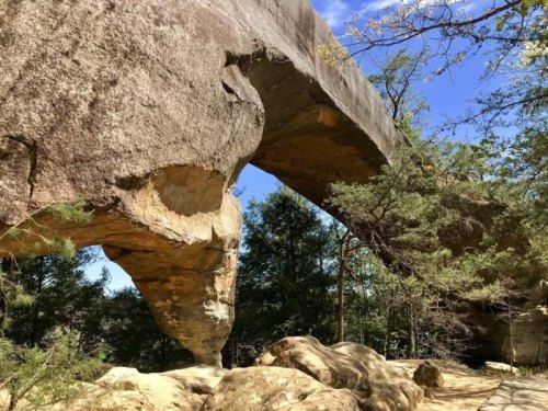 A large rock formation with an arch, surrounded by trees and a clear blue sky.