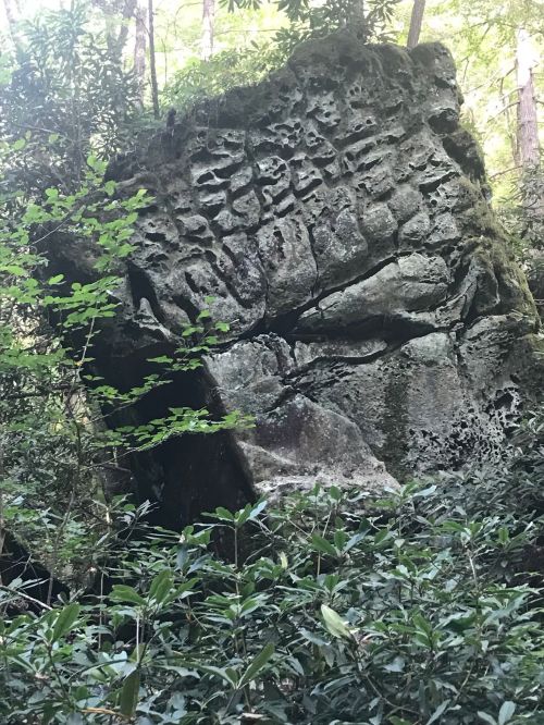A large, moss-covered rock with intricate carvings, surrounded by lush green foliage in a forest setting.