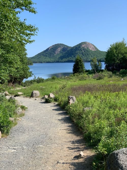 A scenic view of a gravel path leading to a lake, framed by green trees and two hills in the background under a clear blue sky.