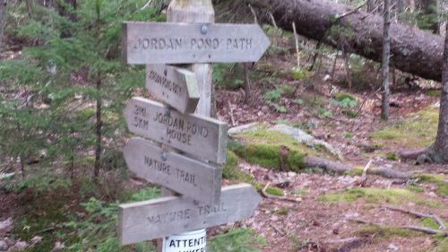 Wooden signpost in a forest with directional arrows for Jordan Pond Path, Jordan Pond House, and Nature Trails.