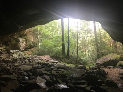 A view from inside a cave, showing sunlight streaming through the entrance and lush greenery outside.
