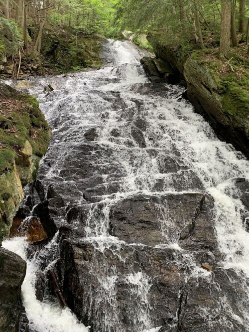 A cascading waterfall flows over dark rocks, surrounded by lush green trees in a serene forest setting.