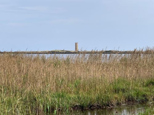 A tall structure stands on a distant island, surrounded by tall grasses and a calm body of water under a clear sky.