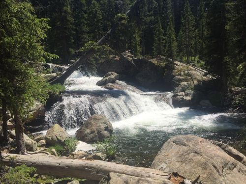 A serene forest scene featuring a cascading waterfall surrounded by lush greenery and large rocks.