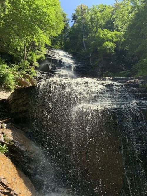 A cascading waterfall surrounded by lush green trees under a clear blue sky. Water glistens in the sunlight.