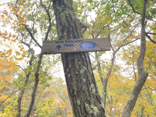 Wooden sign on a tree indicating the New England Trail, surrounded by autumn foliage.