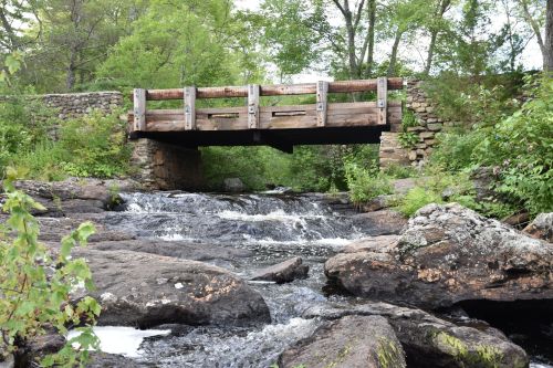 A wooden bridge spans a rocky stream, surrounded by lush greenery and trees. Water flows gently beneath the bridge.
