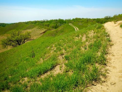A scenic view of rolling green hills with a sandy path and a dirt road winding through the landscape under a clear blue sky.