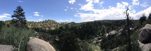 A panoramic view of a forested landscape with rocky outcrops and a blue sky dotted with clouds.