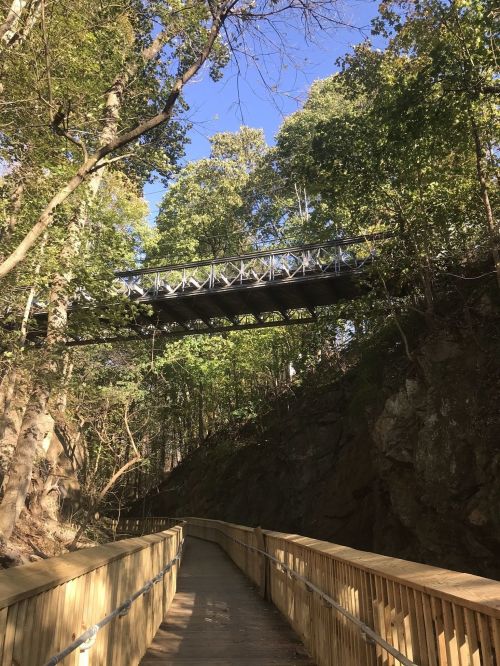 A wooden path leads through a forest, with a metal bridge overhead surrounded by trees and blue sky.