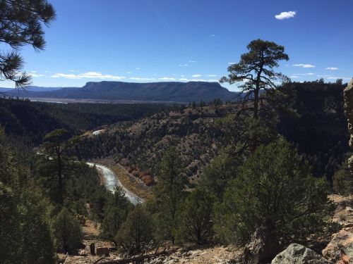 A scenic view of a river winding through a mountainous landscape, surrounded by trees under a clear blue sky.