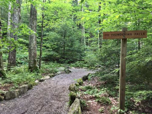 A forest path leads to a wooden sign that reads "To Thundering Falls," surrounded by lush greenery and trees.