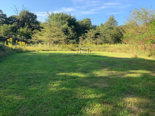 A grassy clearing with a picnic table surrounded by trees and wildflowers under a clear blue sky.