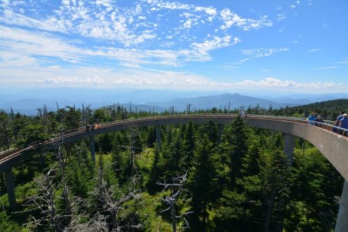 A scenic overlook with a curved walkway above lush green trees, surrounded by distant mountains and a blue sky.