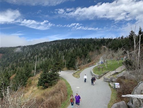 A scenic view of a winding path through a forested area, with people walking and a blue sky above.