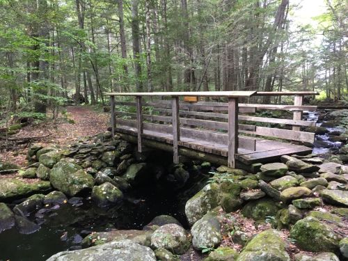 A wooden bridge over a small stream, surrounded by lush green trees and rocky terrain.